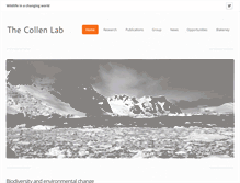 Tablet Screenshot of collenlab.org